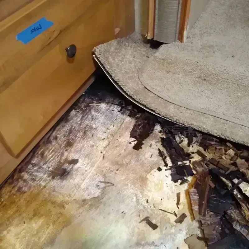 Wood Floor Water Damage in Johnson, KS